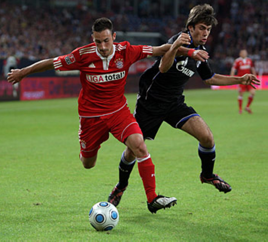 德拉古蒂诺维奇_(伊维卡·德拉古蒂诺维奇) 第1张 德拉古蒂诺维奇_(伊维卡·德拉古蒂诺维奇) 第1张