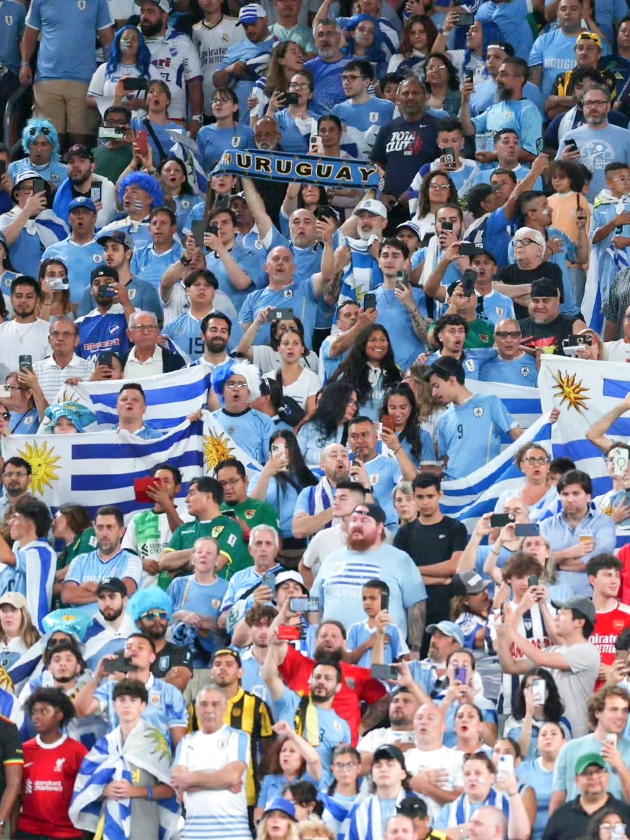 意大利乌拉圭历史战绩_(世界杯意大利乌拉圭)  第1张