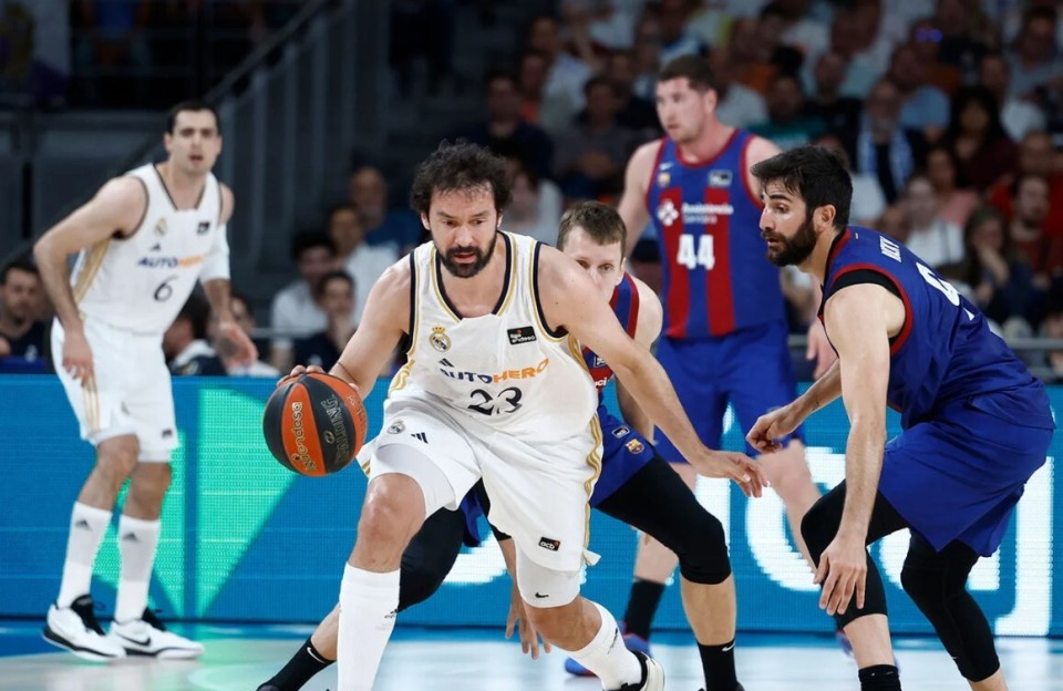 捷篮甲:BK迪辛VS布拉格斯拉维亚 第1张 捷篮甲:BK迪辛VS布拉格斯拉维亚 第1张