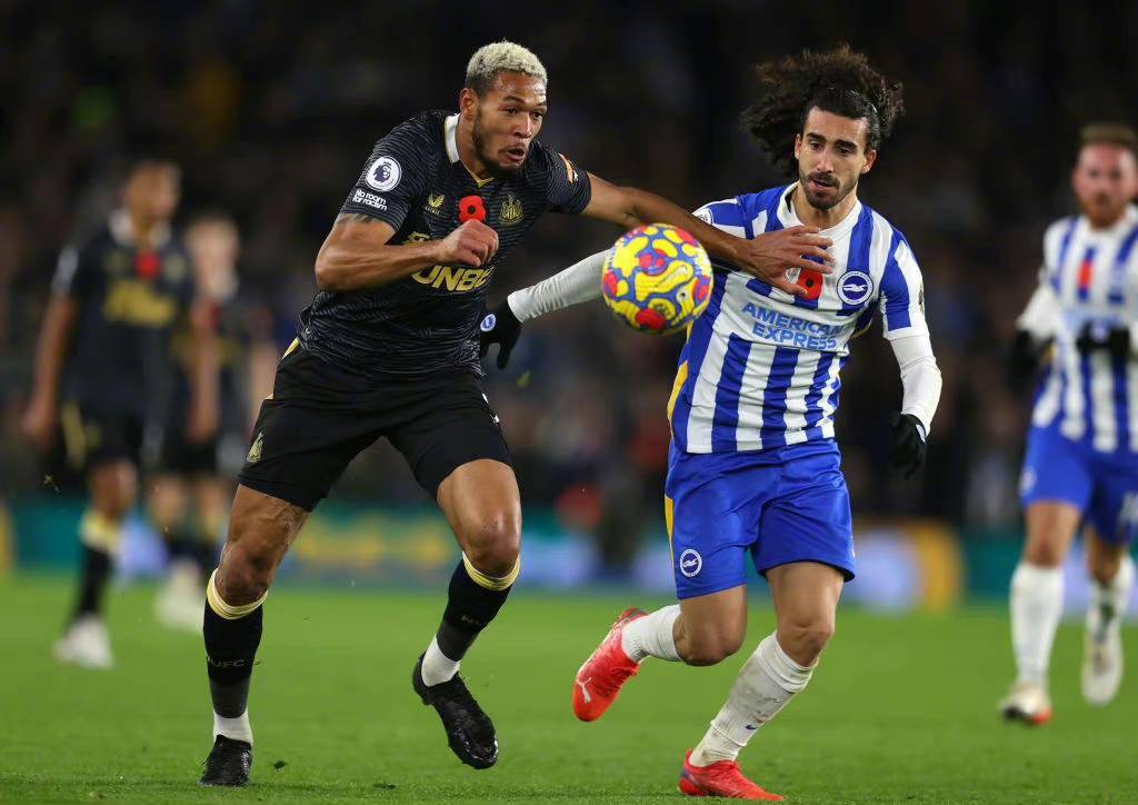 关于莱斯特城VS布莱顿保级VS黑马高清无广告在线观赛的信息  第1张