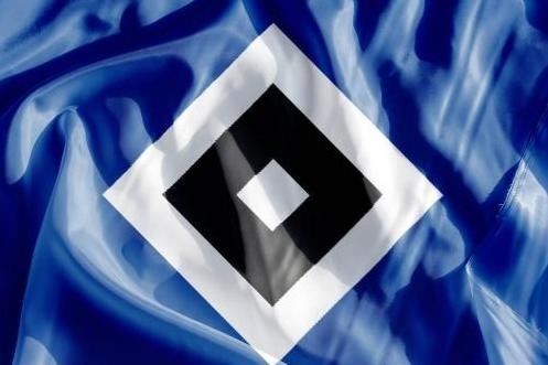 莱比锡迪克斯加盟汉堡队将代表青年队出战  第2张