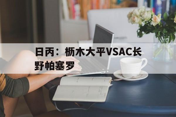 日丙：枥木大平VSAC长野帕塞罗的简单介绍