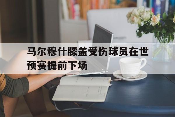 包含马尔穆什膝盖受伤球员在世预赛提前下场的词条  第1张